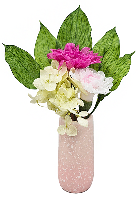 杏　ラズベリー｜A&K 株式会社　プリザーブドフラワー販売