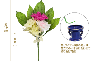 杏　ラズベリー｜A&K 株式会社　プリザーブドフラワー販売