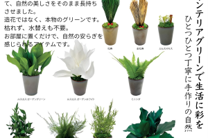 アスパラミントグリーン｜A&K 株式会社.　プリザーブドフラワー販売