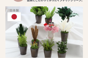 アスパラミントグリーン｜A&K 株式会社.　プリザーブドフラワー販売