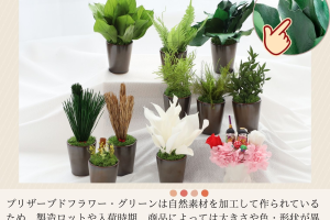 アスパラミントグリーン｜A&K 株式会社.　プリザーブドフラワー販売