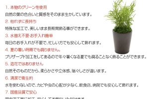 ラスカスグリーン｜A&K 株式会社　プリザーブドフラワー販売