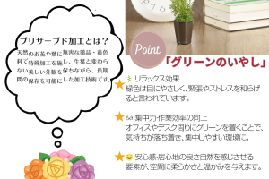 ラスカスグリーン｜A&K 株式会社　プリザーブドフラワー販売