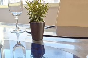 ラスカスグリーン｜A&K 株式会社　プリザーブドフラワー販売